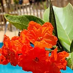 Вилла Margarita