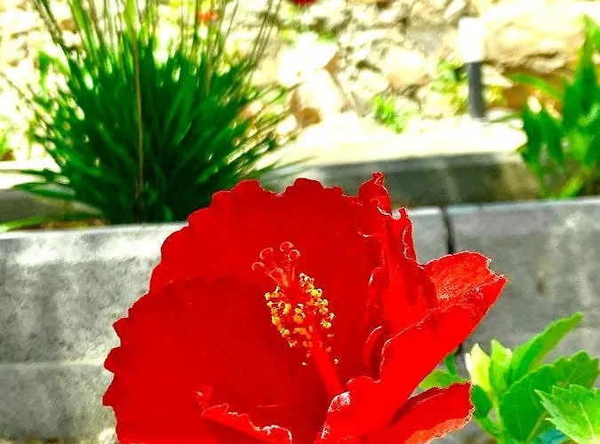 Villa Margarita Valle de Santa Inés