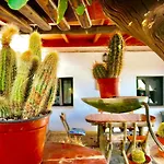 Margarita *