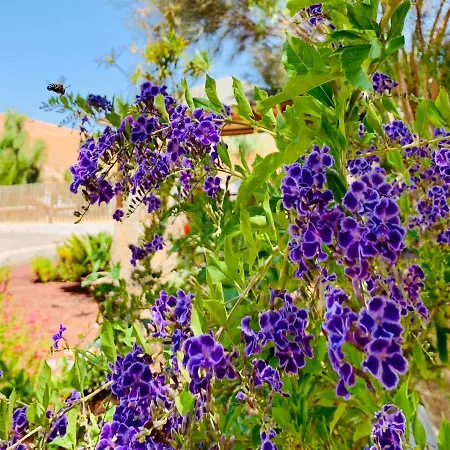 Margarita Villa Valle de Santa Inés