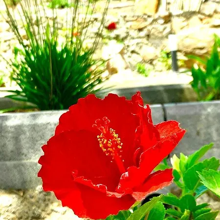 Вилла Margarita Valle de Santa Ines